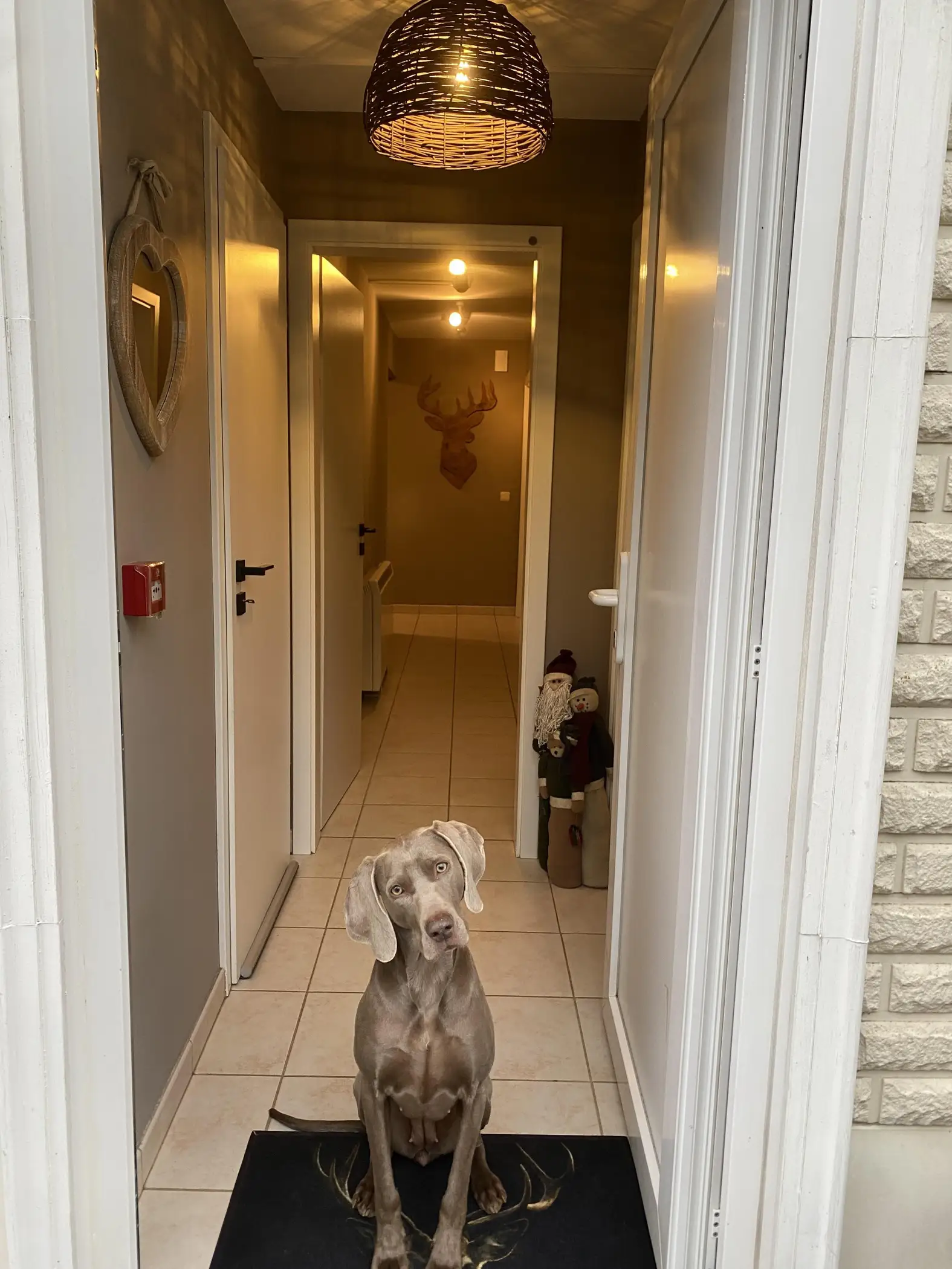 Cottage for 15 people in Beauraing Gîte Le Chalet Suisse